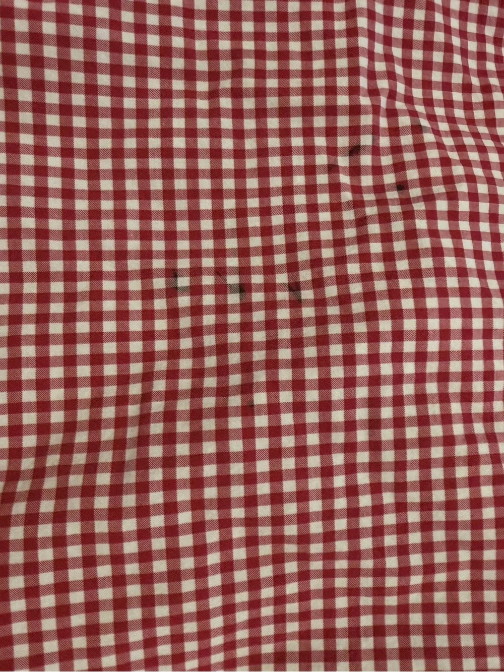 Pottery Barn Kids Twin Red Gingham Check Sheet Set 2 Pc Discontinued